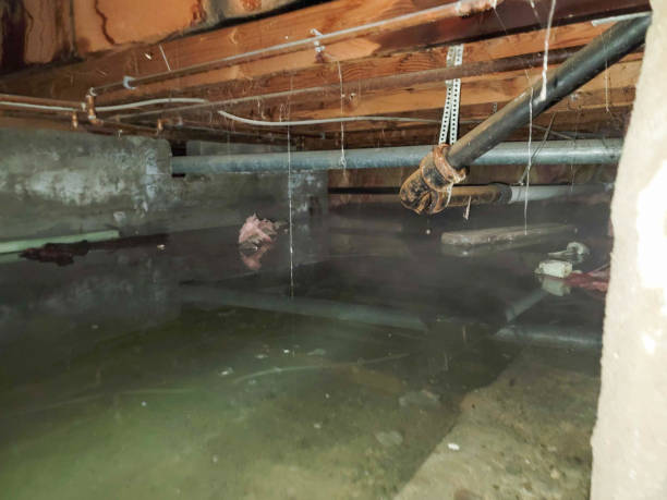 Best Ceiling water damage repair  in Merion Station, PA
