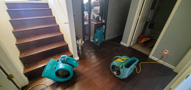 Best Flood damage cleanup  in Merion Station, PA