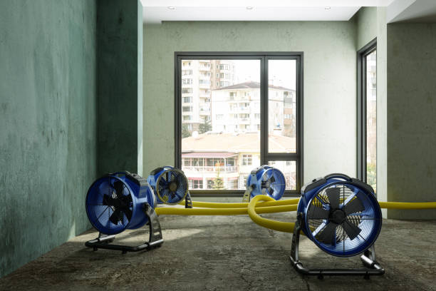 Best Mold removal after water damage  in Merion Station, PA