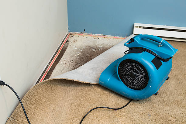 Best Flood restoration services  in Merion Station, PA